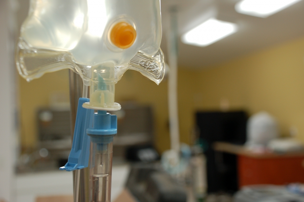 Matthews Veterinary Hospital Moultrie, GA Services